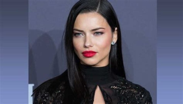 Adriana Lima's Net Worth In 2023: A Model's Fortune