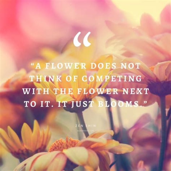 Blooming Positivity: Inspirational Quotes About Plants
