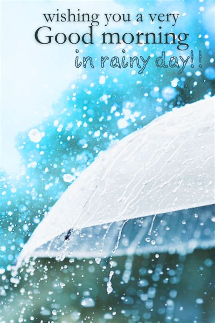 Brighten Up Your Rainy Mornings: Good Morning Messages On Rainy Days