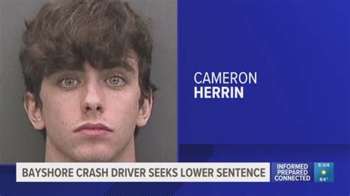 Cameron Herin: Breaking News And In-Depth Coverage