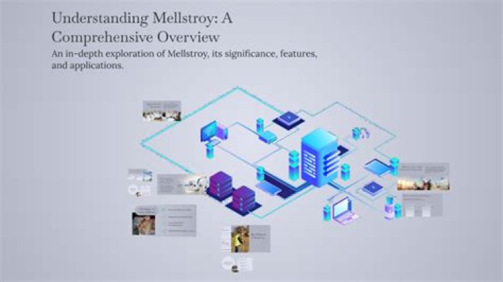 Comprehensive Guide To Mellstroy Networks