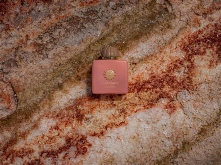 Discover The World Of Katmivie HD: A Deep Dive Into Its Essence