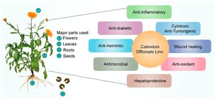 Discovering The Multifaceted Life Of Jon Aitchison