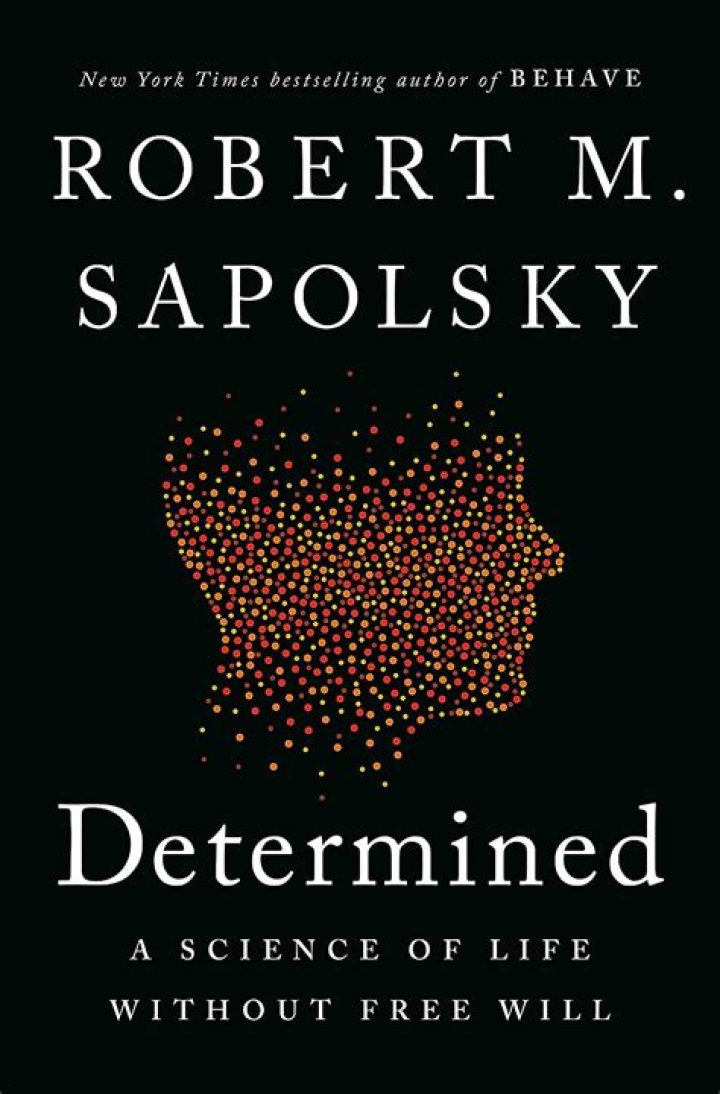 Discovering The Multifaceted Life Of Lisa Sapolsky