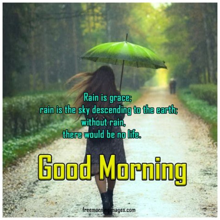 Embracing The Serenity: Good Morning Messages With Rain