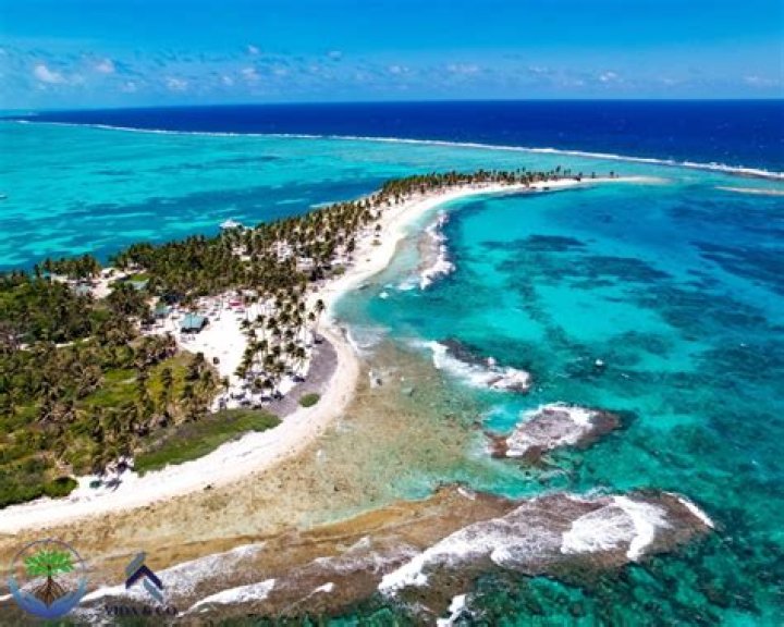 Exploring The Allure Of OnlyFans Camilla Araujo