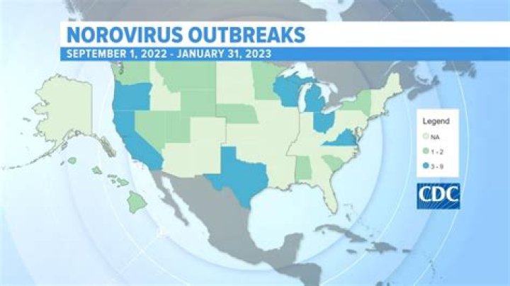 Exploring The Current Stomach Virus Outbreak Map 2024