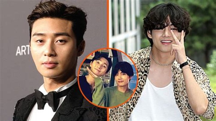 Exploring The Dynamic Duo: Park Seo Joon And Kim Ji Won