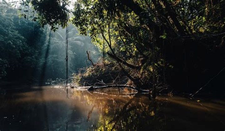 Exploring The Mysteries Of La Mina Yamal