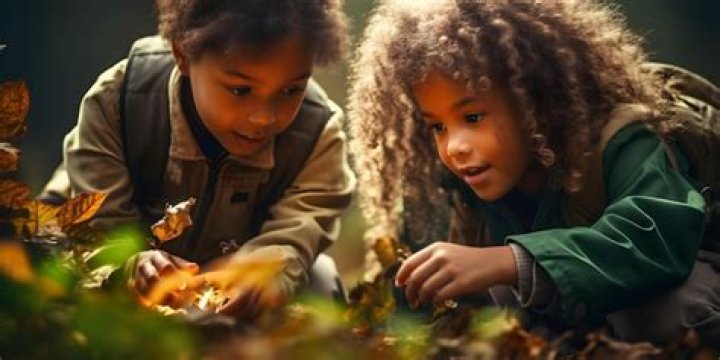 Exploring The Real-Life Connection Between Bellamy And Clarke