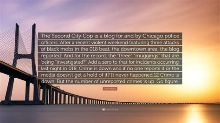 Exploring The Second City Cop Blogspot: Insights From Chicago's Finest