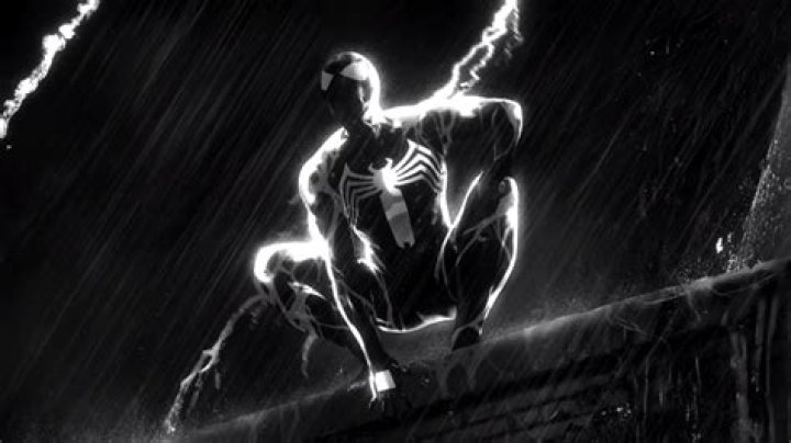 Into The Storm: The Fascinating World Of Spiderman Rain