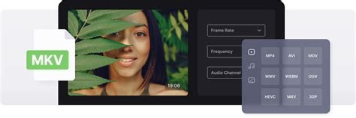 MVK Movie Point: Your Ultimate Destination For Movie Enthusiasts