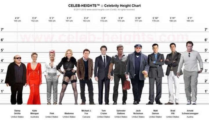 The Boys Celebheight: Discovering The Heights Of Your Favorite Stars