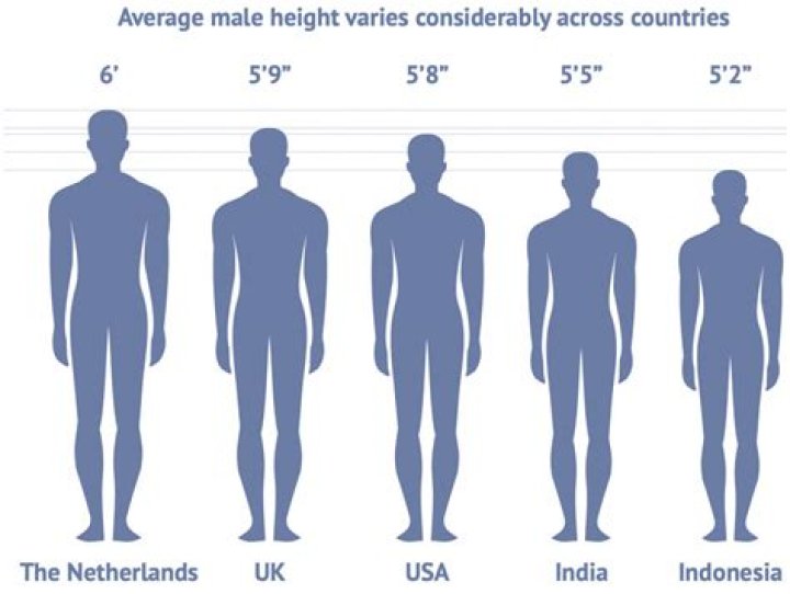 The Comprehensive Guide To Crouch's Height: Measurements And Facts