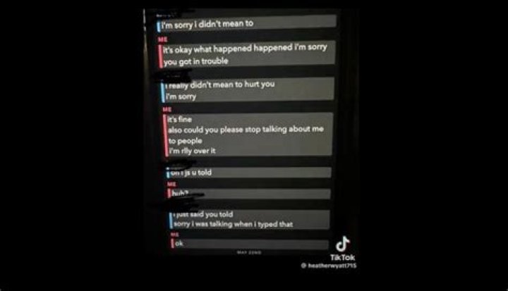 The Disturbing Truth Of Aubreigh Wyatt's Bullying Saga