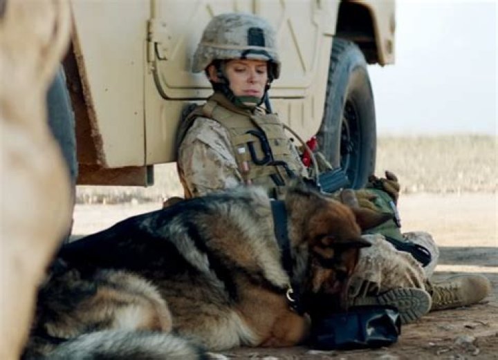 The Unbreakable Bond: Megan Leavey And Her Loyal Marine Companion, Morales