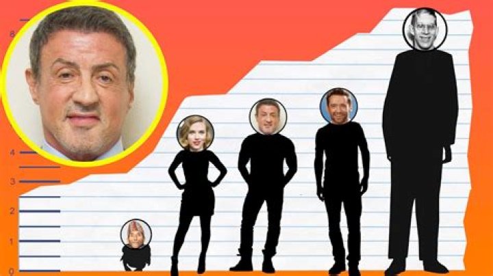 Uncovering Stallone Sylvester Height: The Man Behind The Muscle