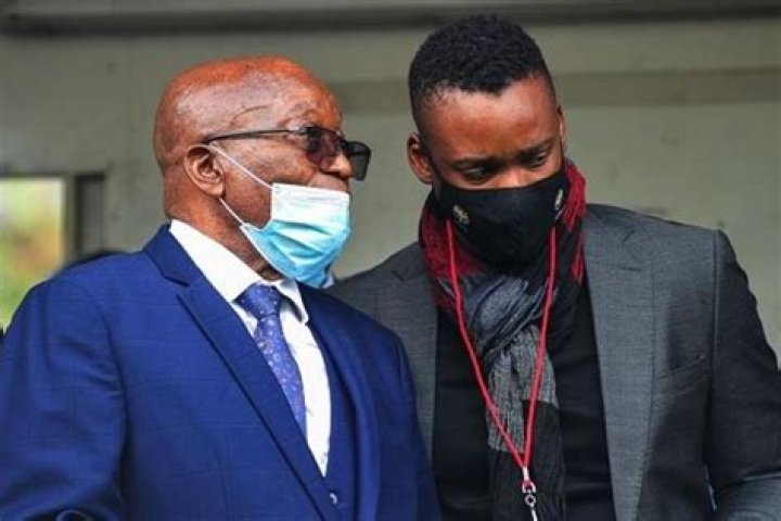 Uncovering The Roots: Who Is Duduzane Zuma's Mother?