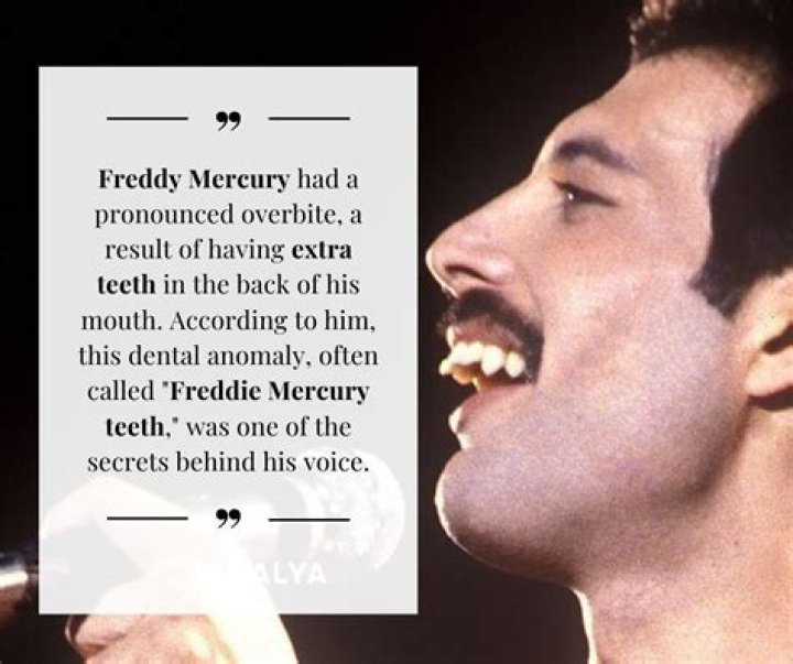 Understanding The Legacy Of Freddie Mercury's Father
