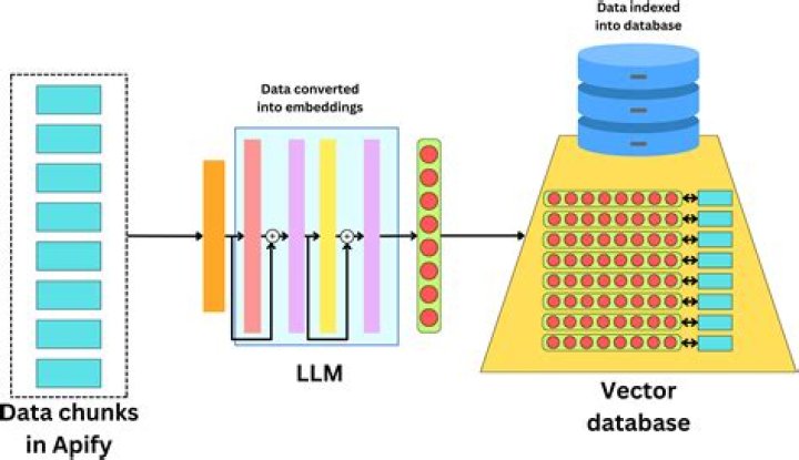 Unleashing The Magic Of Cat Move HD: A Deep Dive