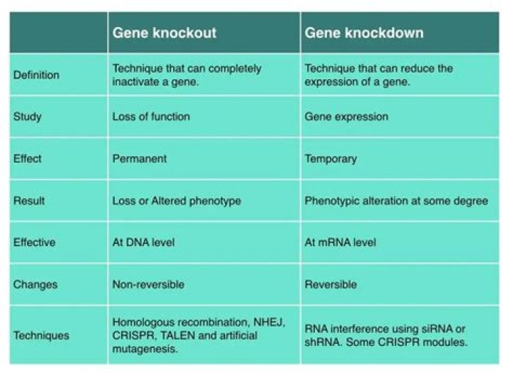 Unlocking The Secrets Of Gene Knock-Down: A Revolution In Genetic Research