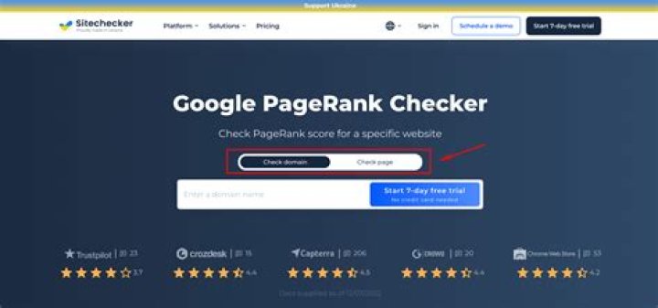 Unlocking Your Website's Potential: A Deep Dive Into Google Site Rank Checker