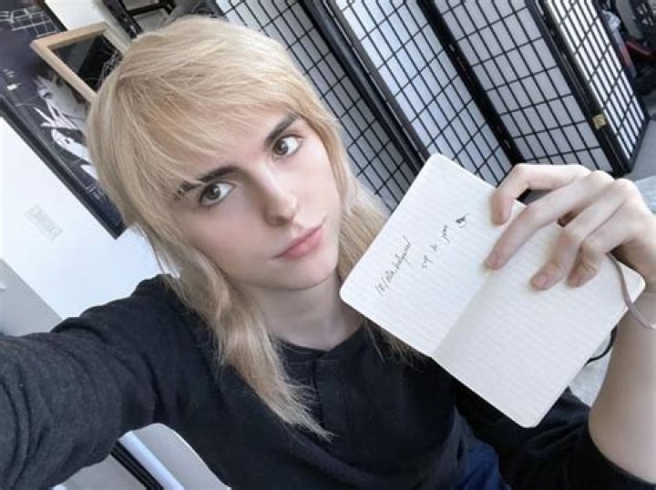 Unraveling The Controversy: Ella Hollywood Pedo