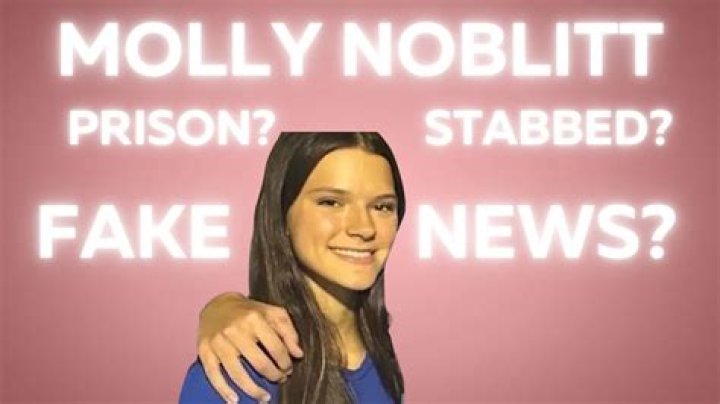 Unraveling The Mystery: Did Molly Noblitt Really Get Stabbed?