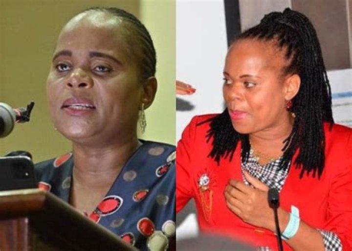 Unraveling The Mystery: Is Phophi Ramathuba Married?