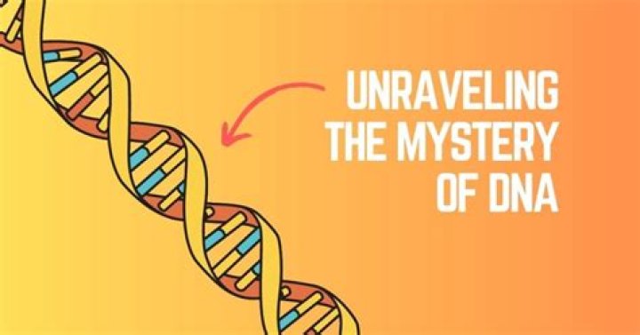 Unraveling The Mystery: Is Steve Lacy Gat?