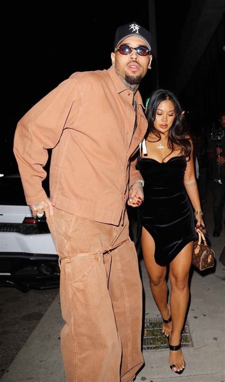 Unraveling The Mystery: Who Is Chris Brown's Current Girlfriend?