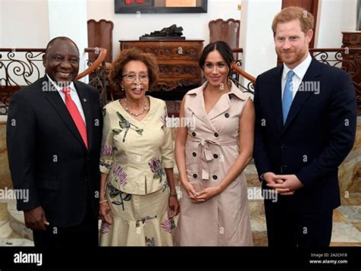 Unveiling The Age Of Tshepo Motsepe: How Old Is He?