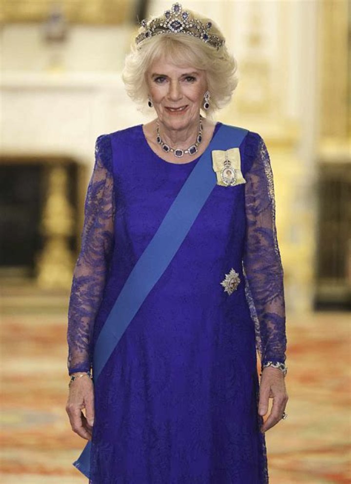 Unveiling The Charisma Of Camilaara Of