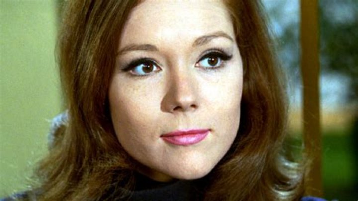 Unveiling The Life And Career Of Serzh Stalone