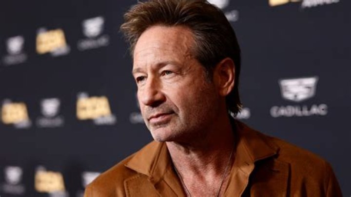 Unveiling The Multifaceted Career Of Actor David Duchovny