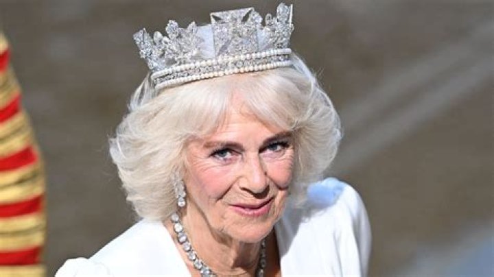 Unveiling The Mystique Of Camilla Of Leaks: A Deep Dive
