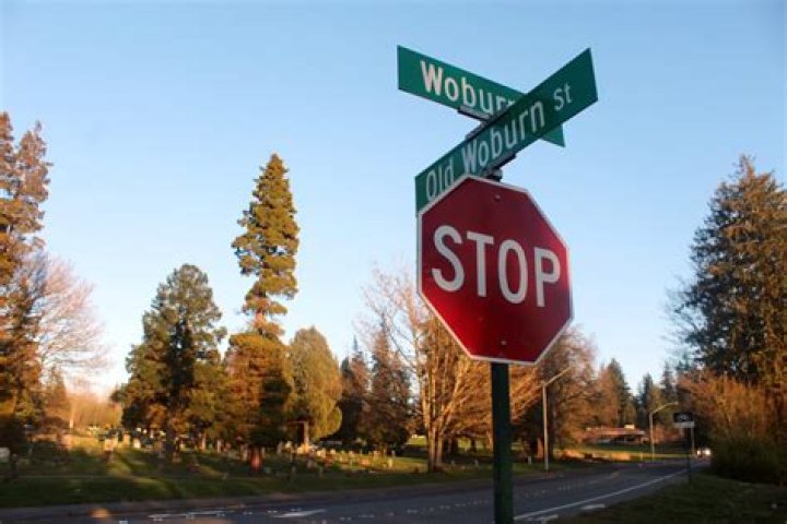 Unveiling The Origins Of Bellingham: Which Country Is He From?