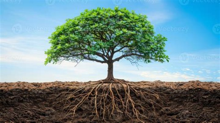 Unveiling The Roots: The Influence Of John Summit's Parents